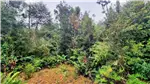  Venta  Parcela en Puerto Varas  UF971,89 $40.000.000 