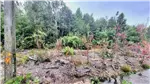  Venta  Parcela en Puerto Varas  UF971,89 $40.000.000 