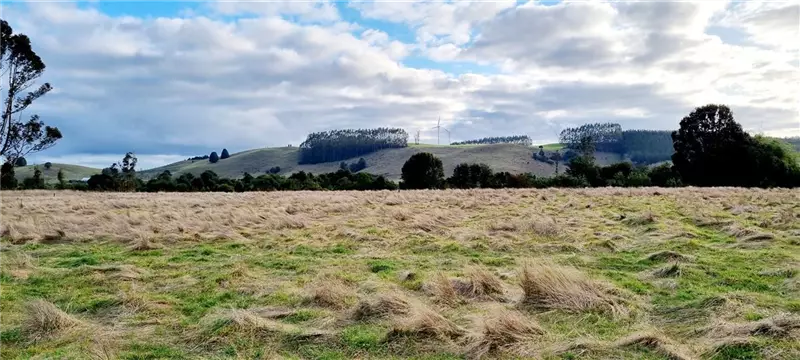 Parcela en Llanquihue