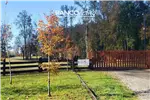  Venta  Parcela en Villarrica  UF1.701,01 $70.000.000 