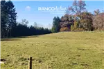  Venta  Parcela en Villarrica  UF1.701,01 $70.000.000 