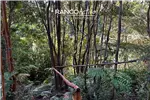  Venta  Parcela en Puerto Varas  UF1.202,71 $49.500.000 