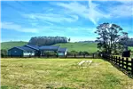  Venta  Parcela en Llanquihue  $41.157.000 UF1.000 