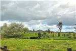  Venta  Parcela en Llanquihue  $41.157.000 UF1.000 