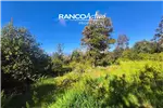  Venta  Parcela en Valdivia  UF2.624,42 $108.000.000 