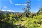  Venta  Parcela en Valdivia  UF2.624,42 $108.000.000 