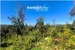  Venta  Parcela en Valdivia  UF2.624,42 $108.000.000 