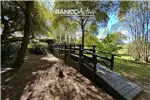 Venta  Casa en Valdivia  UF4.981,53 $205.000.000 