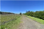  Venta  Parcela en Chillán  UF1.190,71 $49.000.000 