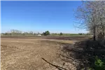  Venta  Parcela en Chillán  UF1.215,01 $50.000.000 