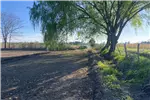  Venta  Parcela en Chillán  UF1.215,01 $50.000.000 