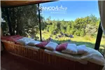  Arriendo  Casa en Valdivia  UF19,44 $800.000 